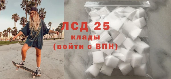 прущие грибы Протвино